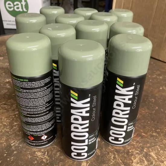 Lot of 12 Colorpak Coloursteel Aerosol Spraypaint Permanent Mist Green 275g