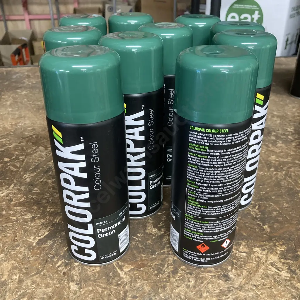 Lot of 10 Colorpak Coloursteel Aerosol Spraypaint Permanent Green 275g Image 1++