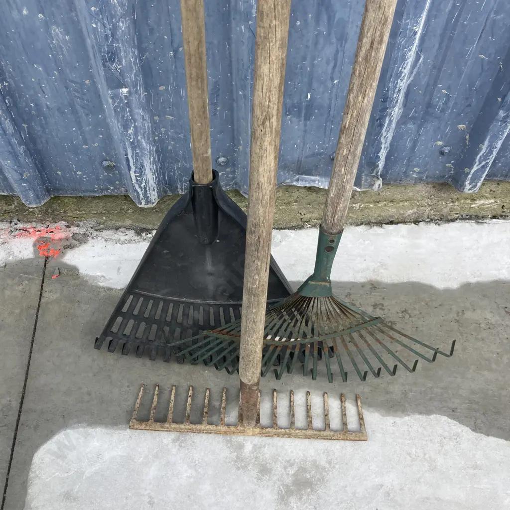 Lot of 3 Rakes Image 1++