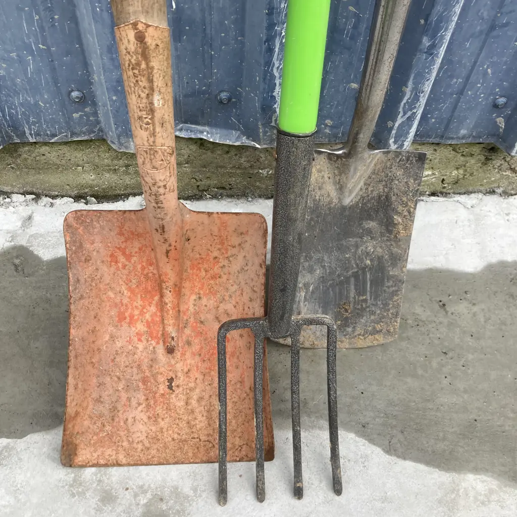 Lot of Long Handled Shovel, Garden Spade & Fork Image 1++