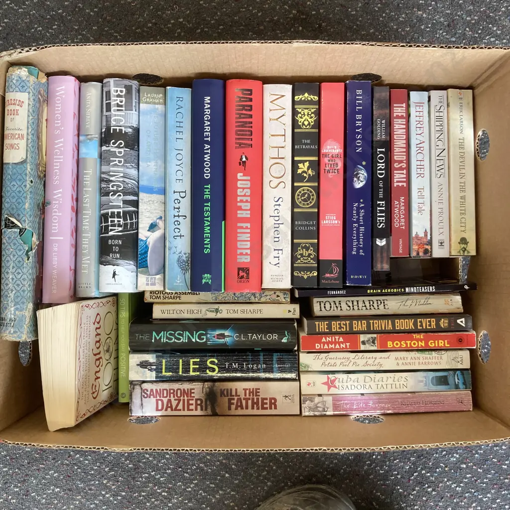 Box Lot Books, American Songs, C.L. Taylor, Bruce Springsteen Etc Image 1++