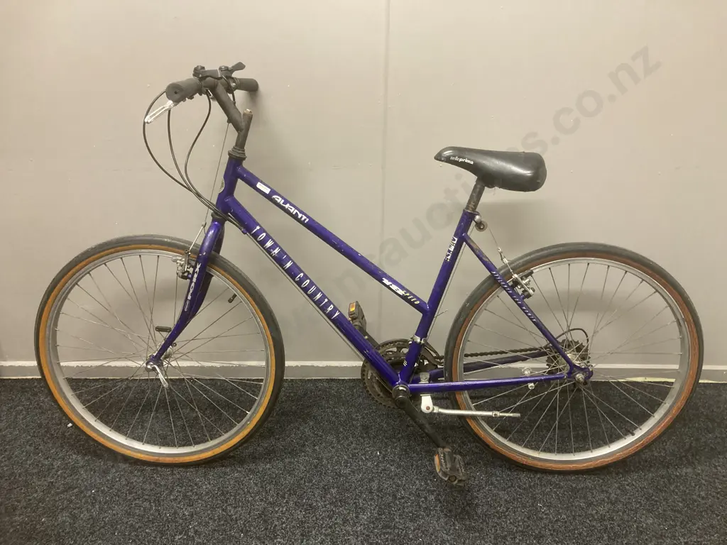 Purple Colour Avanti Town & Country Bicycle, 18 Speed Image 1++