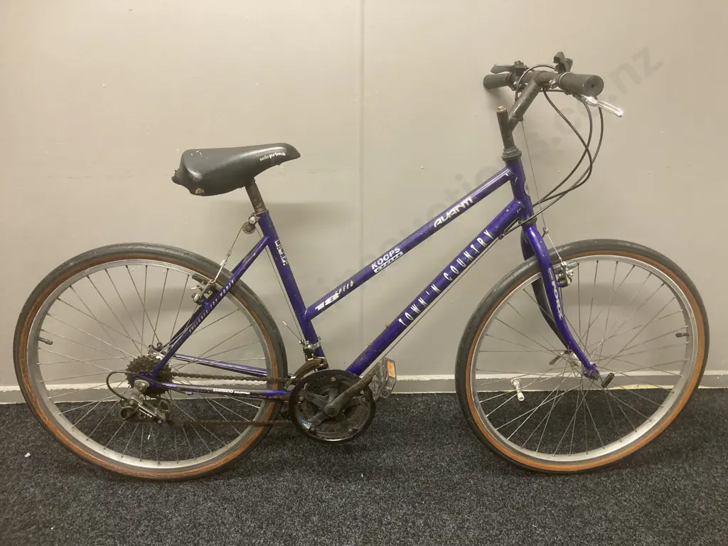 Purple Colour Avanti Town & Country Bicycle, 18 Speed Image 1++