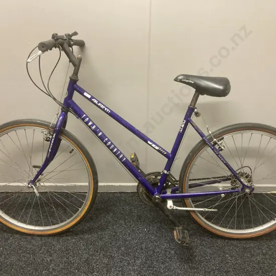 Purple Colour Avanti Town & Country Bicycle, 18 Speed