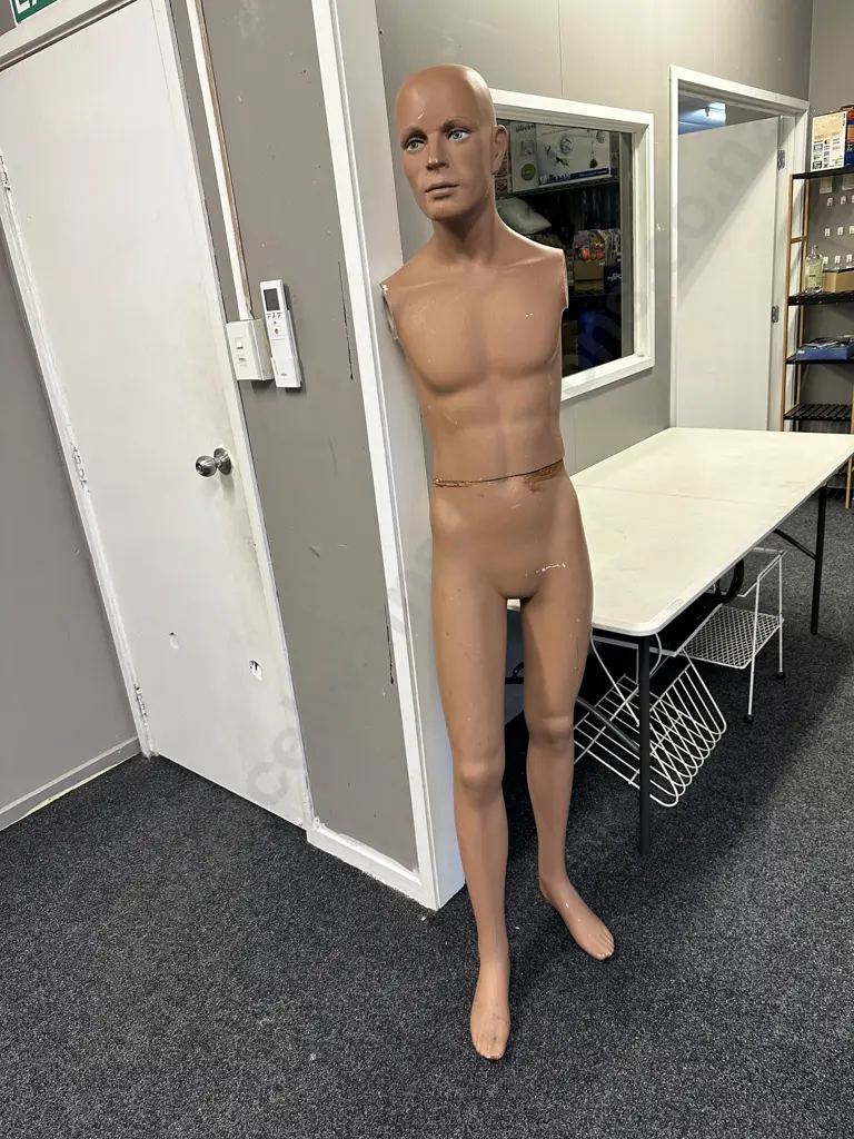 Vintage Male Mannequin (Incomplete) Image 1++
