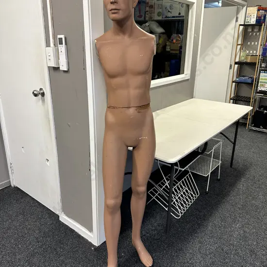 Vintage Male Mannequin (Incomplete)