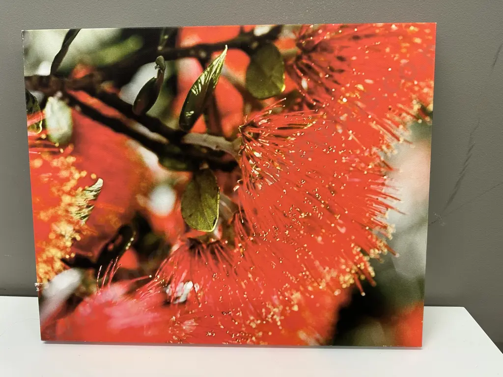 Picture On Canvas 51 x 41cm Image 1++