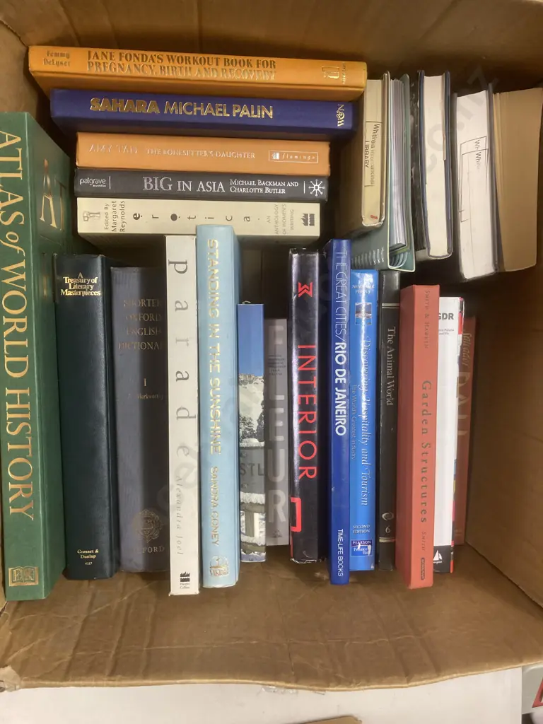 Box Lot Books, Standing in the Sunshine by Sandra Coney, Fleur, The Road To Castle Hill, Etc Image 1++