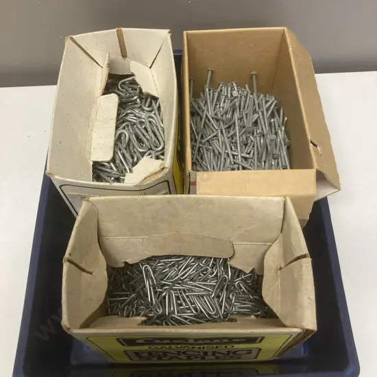 Blue Bin Assorted Fence Staples & Nails