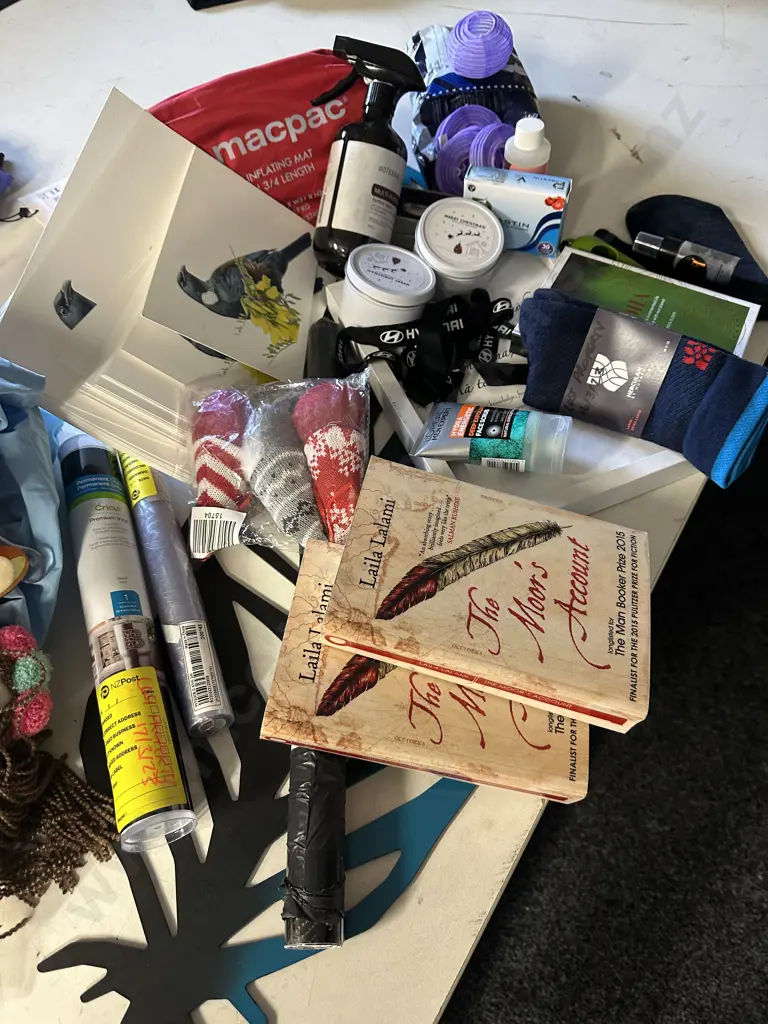 Box Lot Sundries, Artwork, Books, MacPac Self Inflating Mat Etc Image 1++