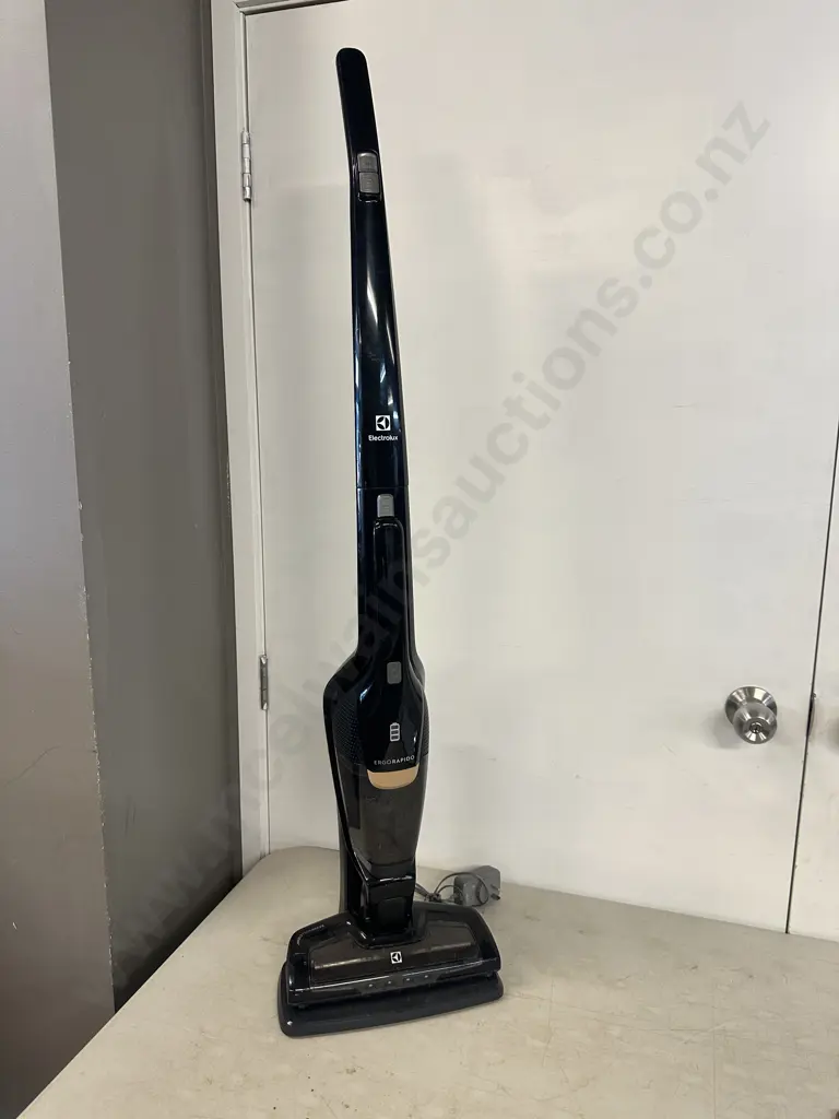 Electrolux Ergorapidion Vaccum Image 1++