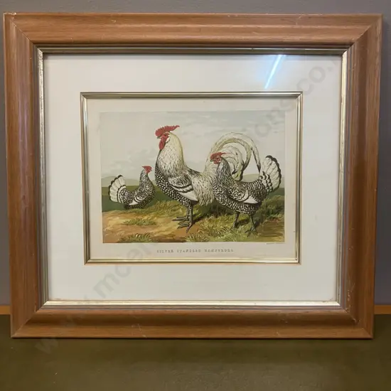 'Silver Spangled Hamburghs' Harrison Weir Fine Art-Print, Framed 35 x 40cm