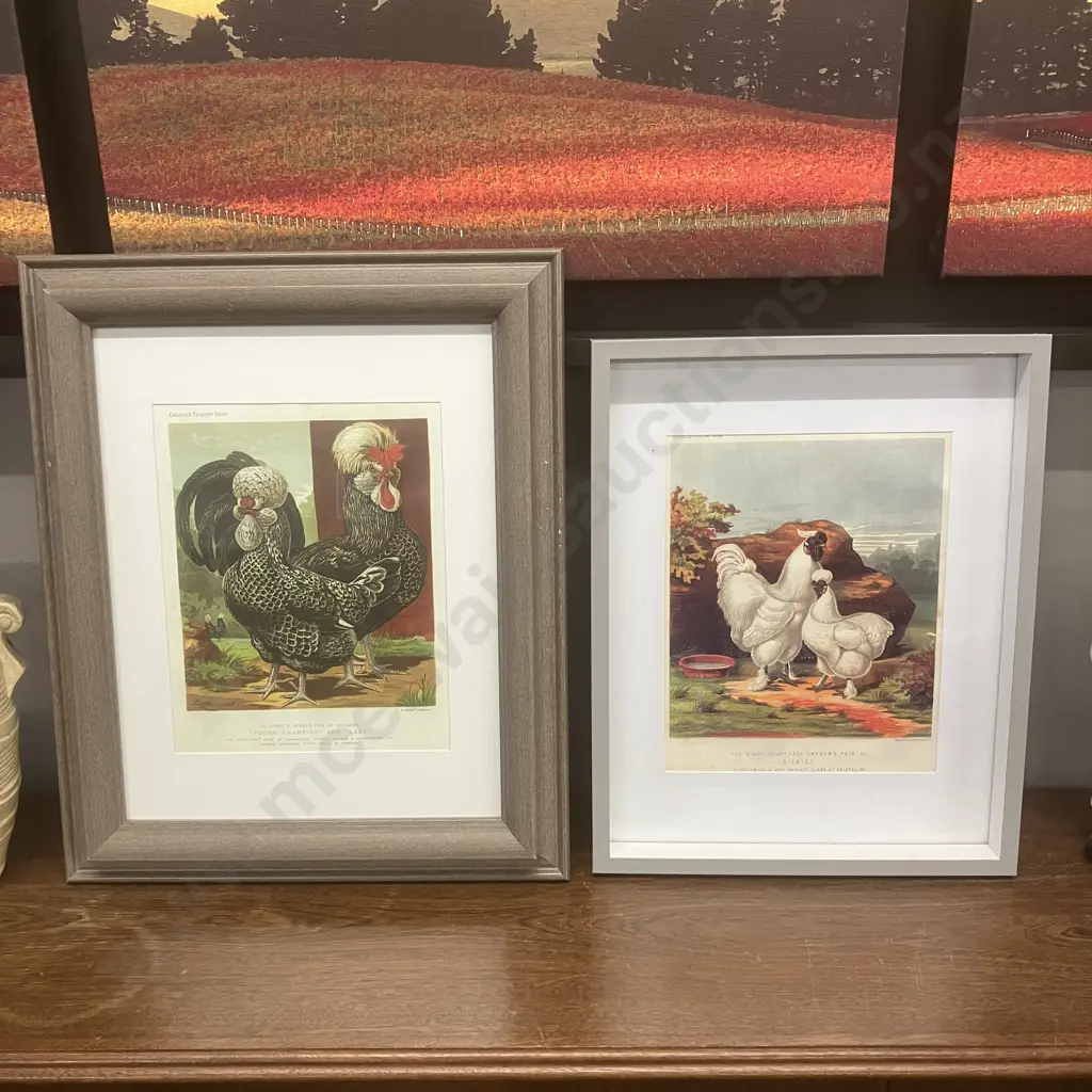 Pair of Framed Vintage Prints of Antique Poultry Lithographs Image 1++