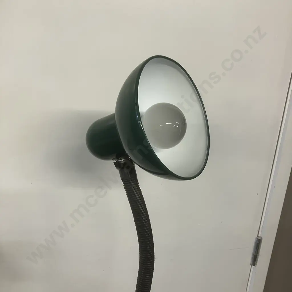 Green Pedestal Floor Lamp With Adjustable Head. H135cm Image 1++