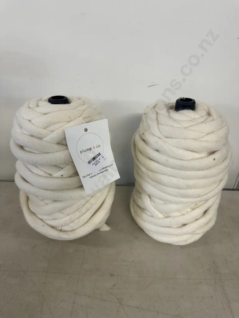 Pump & Co Arts & Crafts White Wool X2 Image 1++