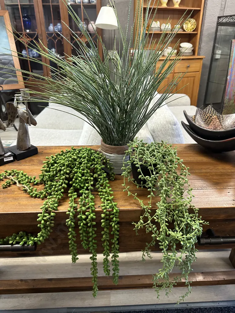 Faux Plants x3  Image 1++