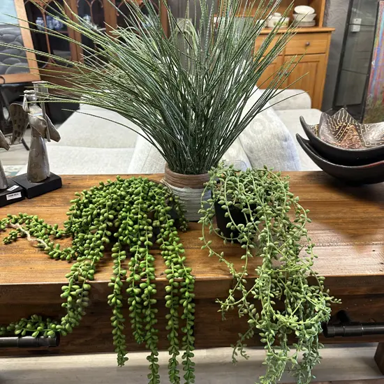 Faux Plants x3 