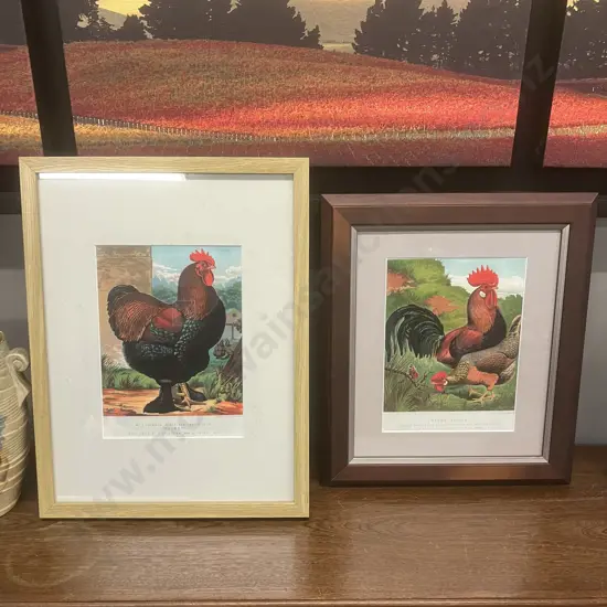 Pair of Framed Vintage Prints of Antique Poultry Lithographs
