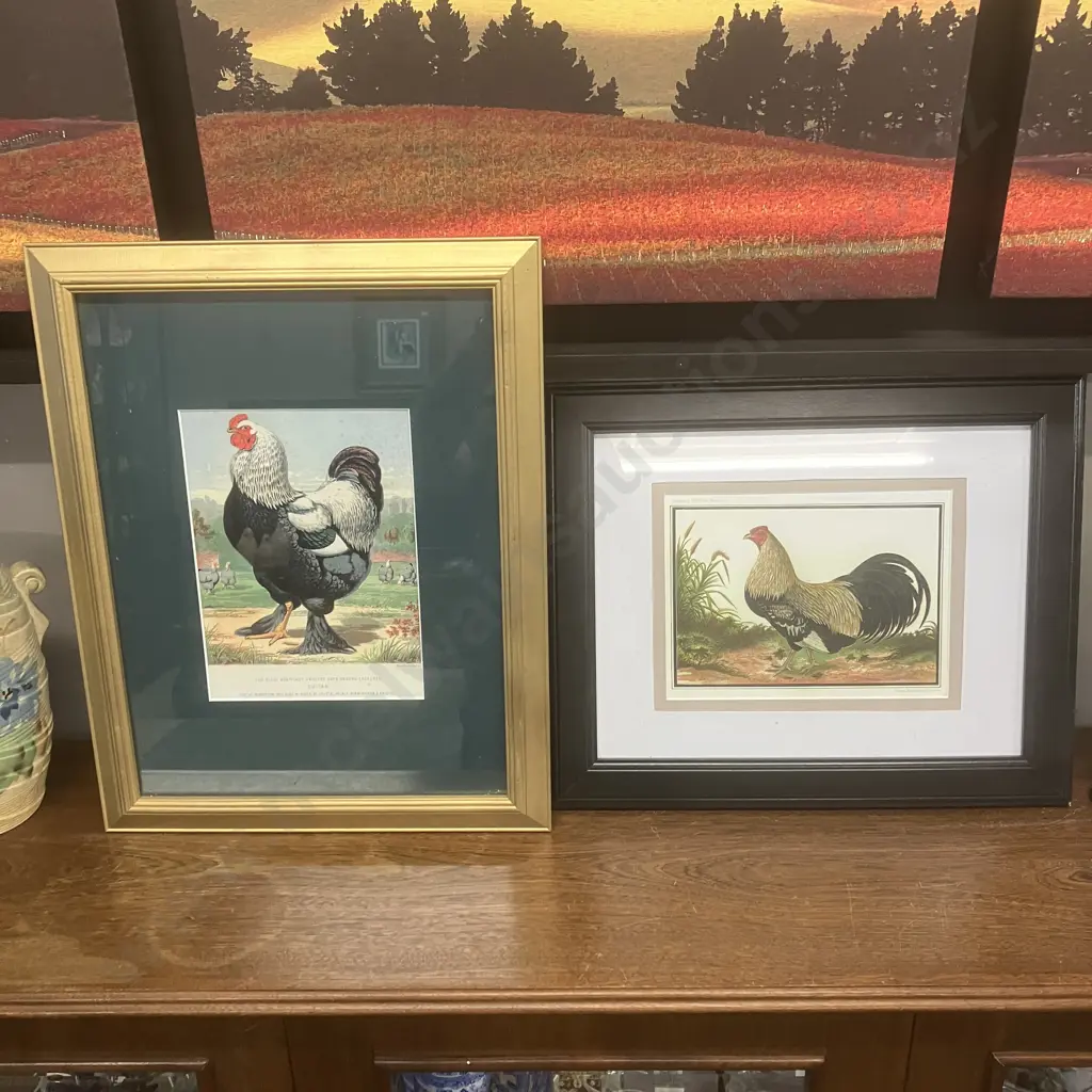 Pair of Framed Vintage Prints of Antique Poultry Lithographs Image 1++