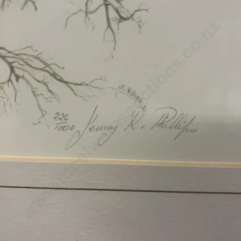 Jenny K. Phillips 1986 Botanical Studies Print 226/1000 Inscribed, Dated & Editioned In Image. 36 x 33cm Image 1++