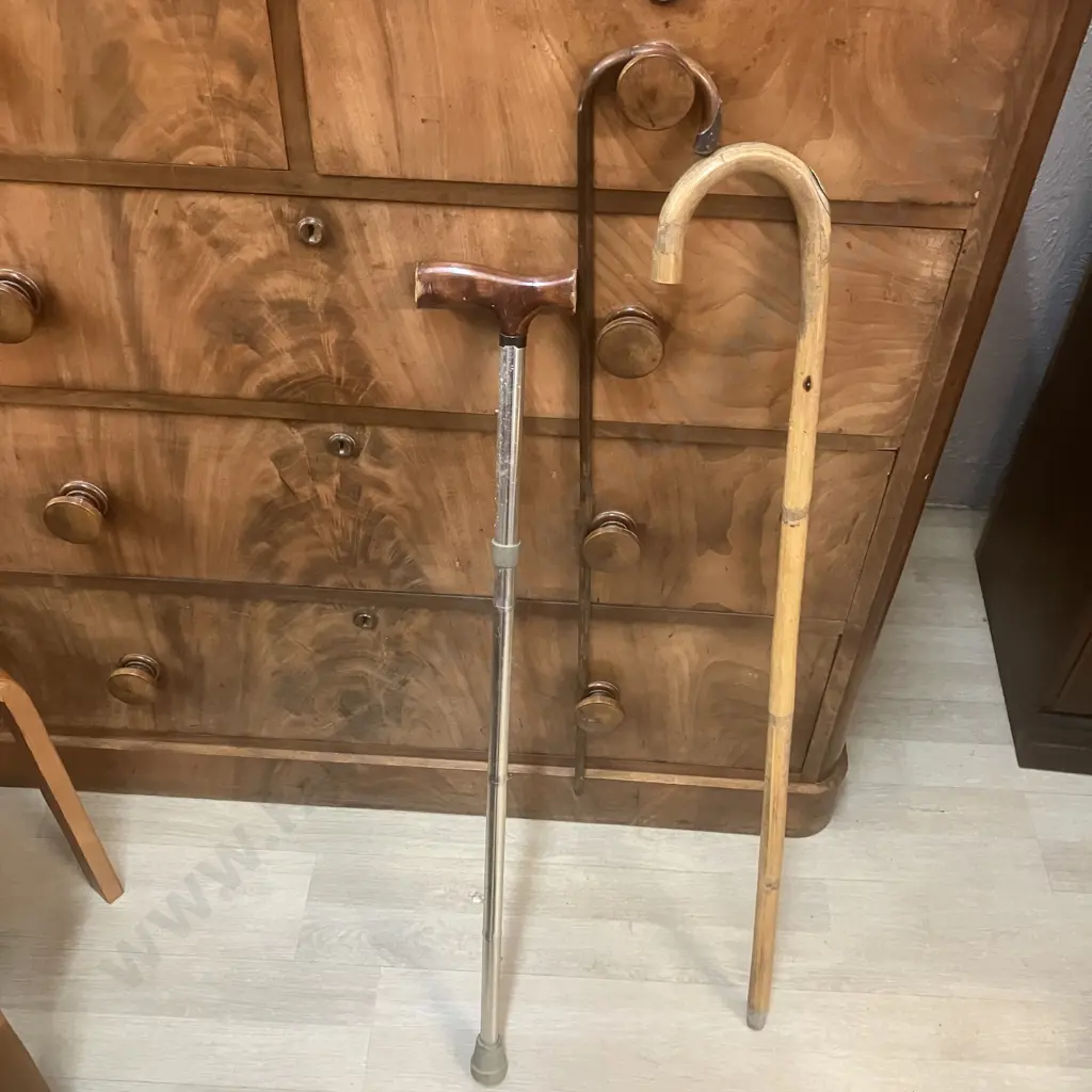 Walking Sticks x 3 Image 1++