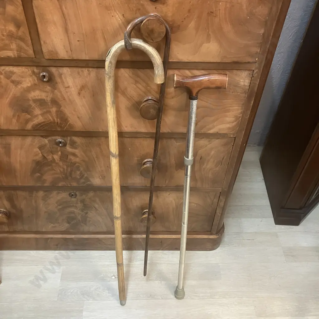 Walking Sticks x 3 Image 1++