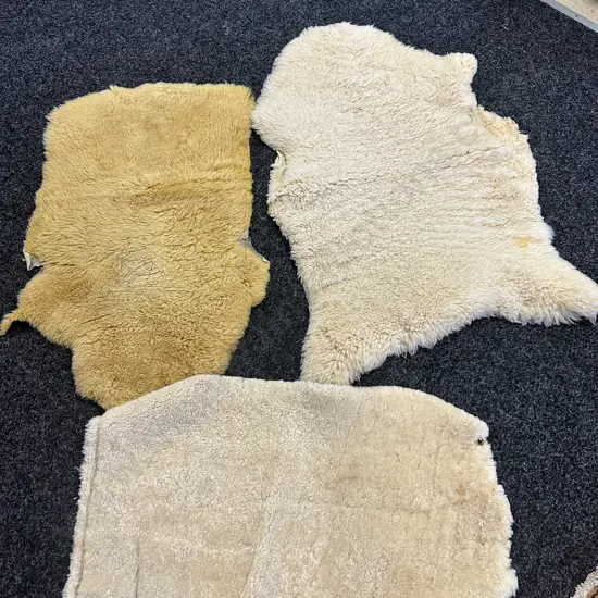 Sheepskin Floor Rug H90,W62cm & Smaller Pieces Of Shhepskin 