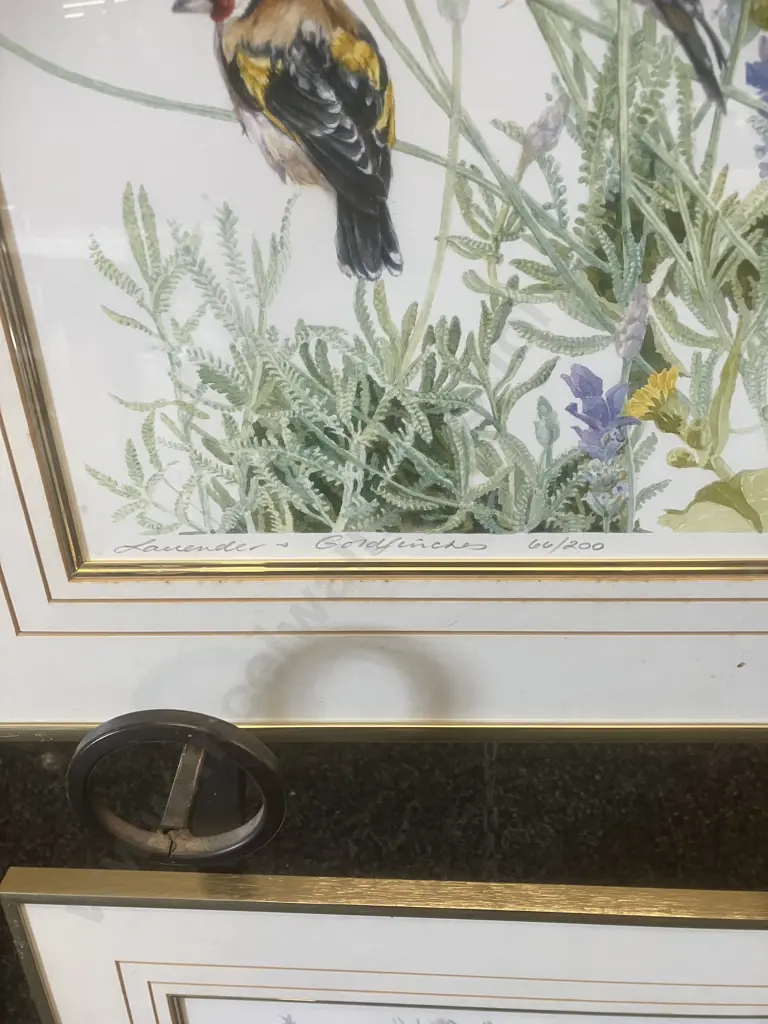 'Lavender & Goldfinches' Framed Limited Edition Prints # 66 / 200, Signed. 46 x 54cm Image 1++