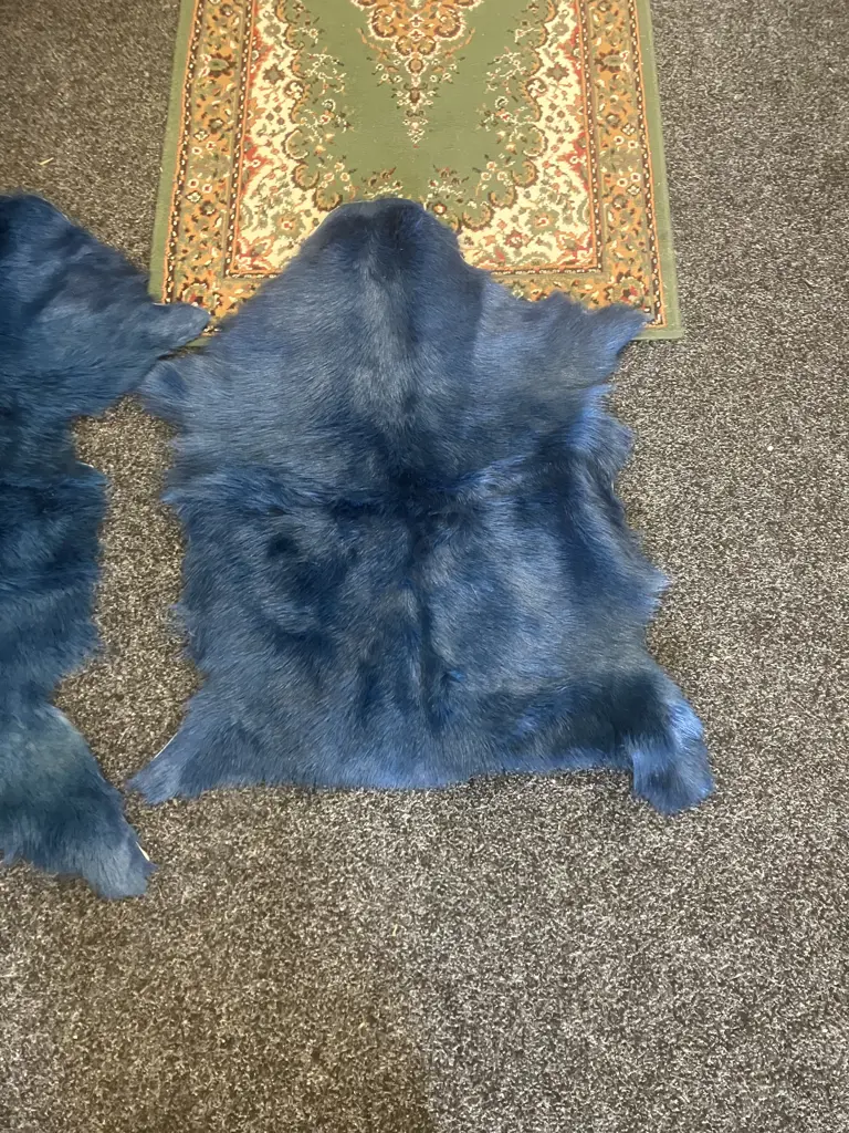 Pair of Blue Mulberi Dyed Natural Goat Hide Rugs. L88 & 98cm Image 1++
