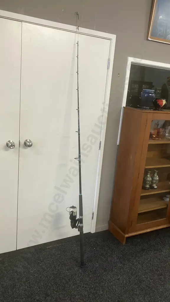 Shimano Baitrunner 6500B Spinning Reel With Triton Stinger 7' 10-15Kg Rod Image 1++