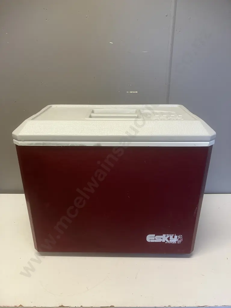Vintage ESKY Sports Chilly Bin. H37.5 W46 D28cm Image 1++