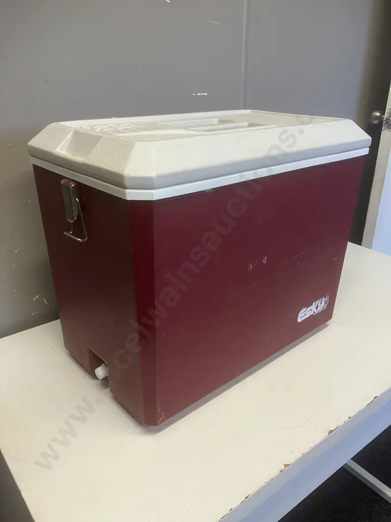 Vintage ESKY Sports Chilly Bin. H37.5 W46 D28cm Image 1++