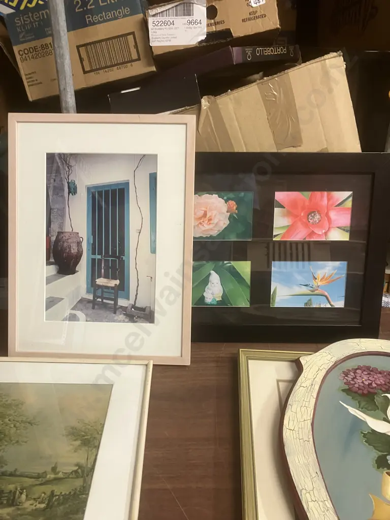 Large Harp Seal Print, Assorted Prints, Frames Etc Image 1++