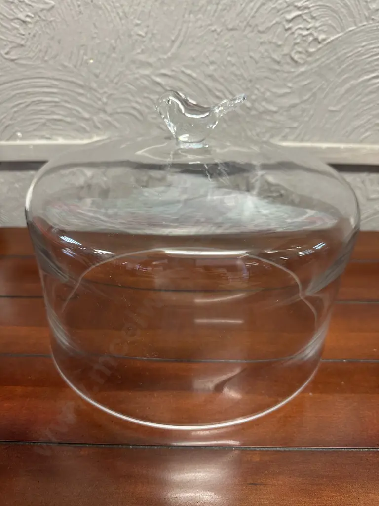 Nood Birdie Clear Glass Cake Dome 30cm. Image 1++