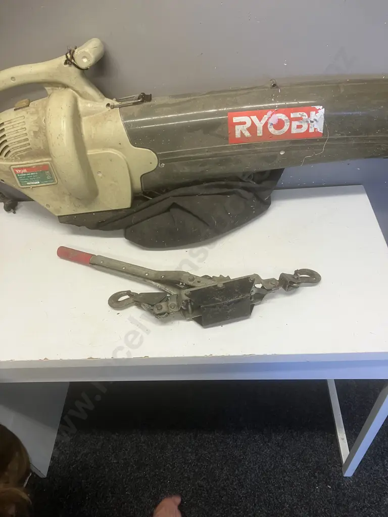 Ryobi Blower Vac 1800W & Hand Cable Puller Image 1++
