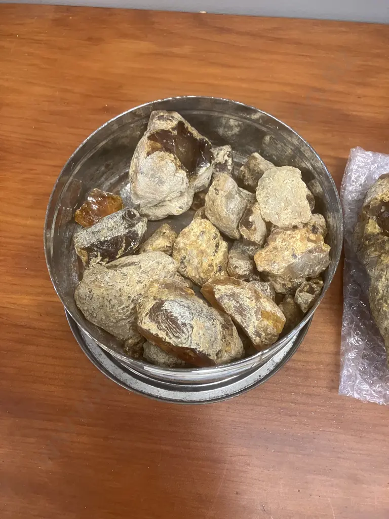 Kauri Gum Piece (H12 W16 D16cm) With Assorted Kauri Gum Pieces Image 1++