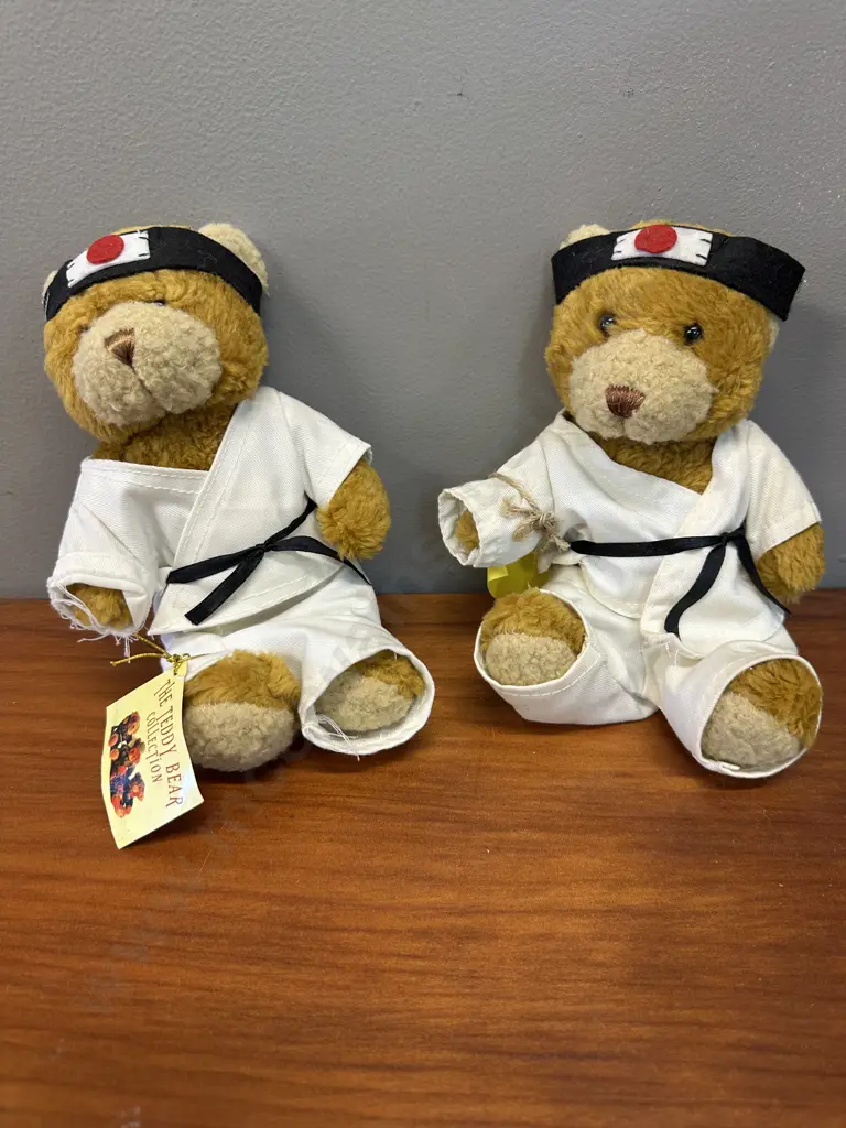 The Teddy Bear Collection 'Kim The Karate Expert' Bears x2  Image 1++