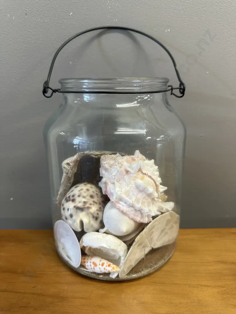 Glass Jar Of Assorted Sea Shells Image 1++