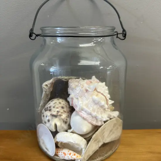 Glass Jar Of Assorted Sea Shells