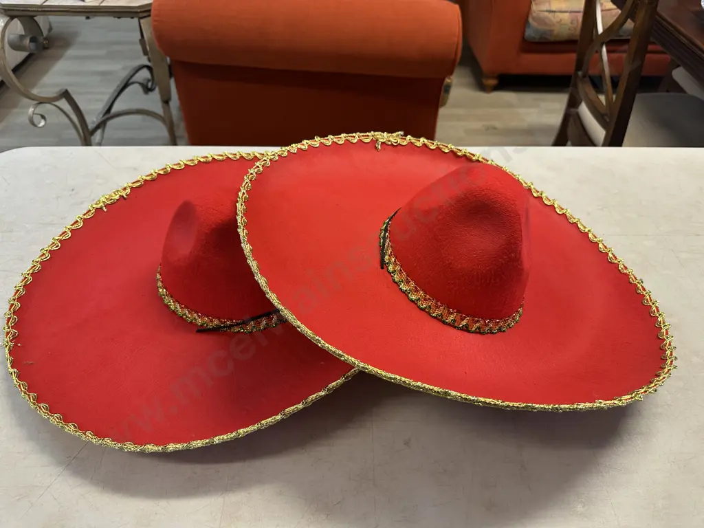 Pair Of Mexican Themed Hats x2 Image 1++