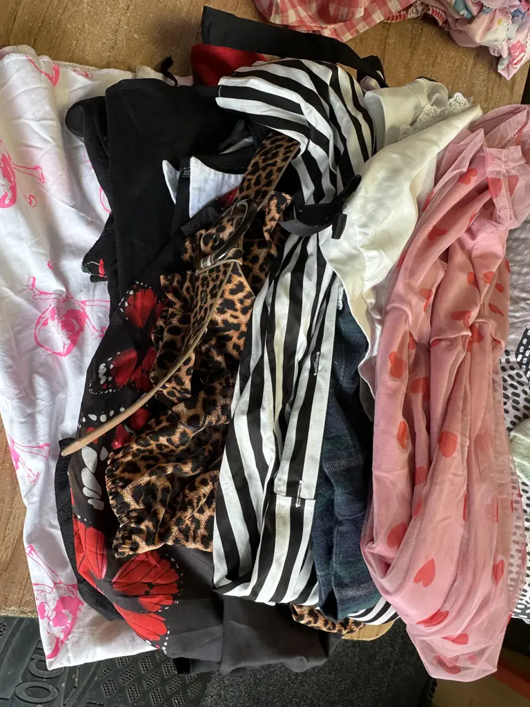 Ladies Near New Dresses Assorted Sizes Ranging From 16-20 Image 1++