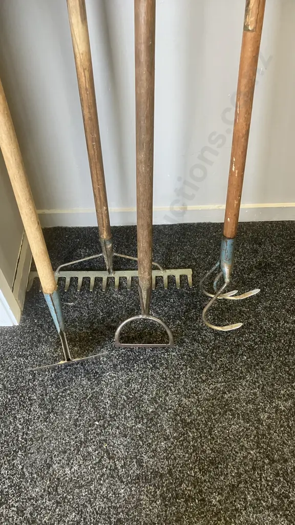 Long Wooden Handled Garden Tools - Rake & Three Assorted Hoes Image 1++