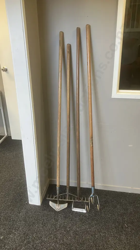 Long Wooden Handled Garden Tools - Rake & Three Assorted Hoes Image 1++