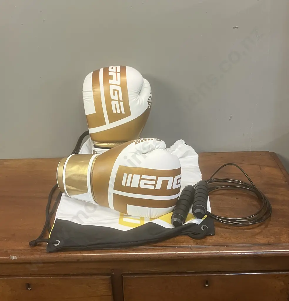 Engage E-Series Boxing Gloves (Gold) 16OZ With Bag & Boxing Skipping Rope Image 1++