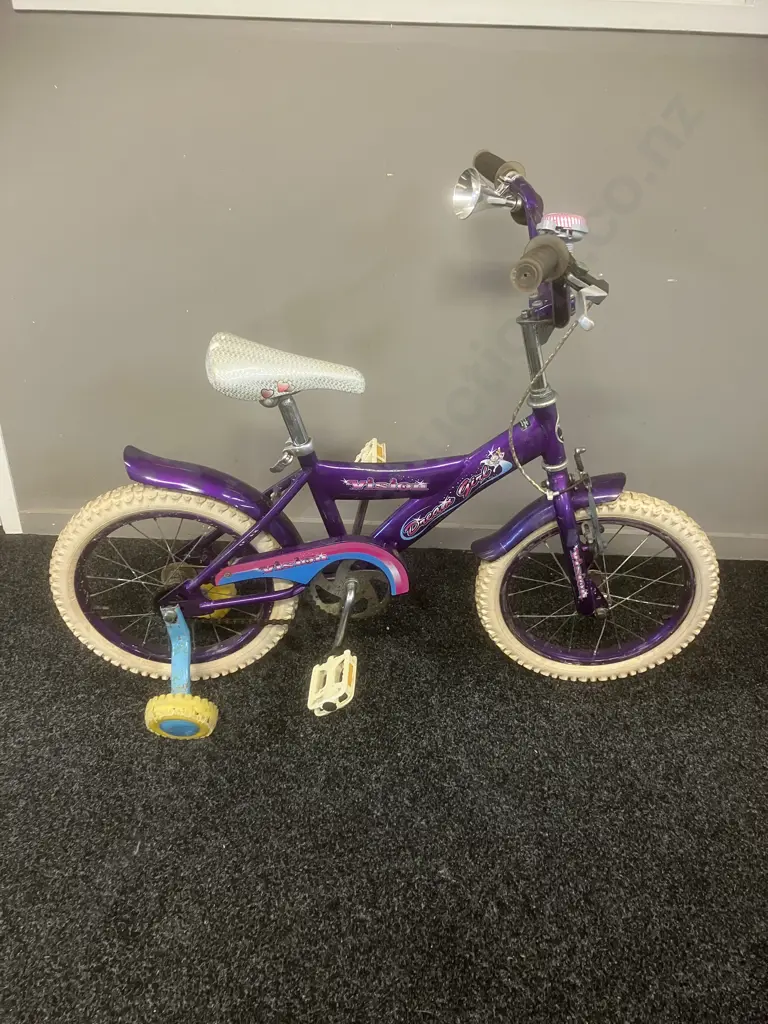 Vision Dream Girl Purple Kids Bike With Training Wheels Image 1++