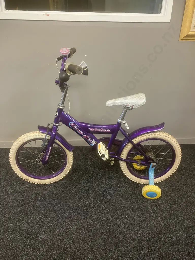Vision Dream Girl Purple Kids Bike With Training Wheels Image 1++