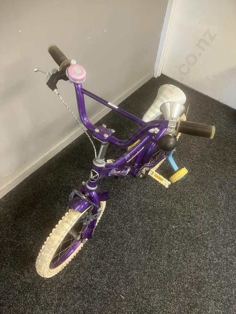Vision Dream Girl Purple Kids Bike With Training Wheels Image 1++