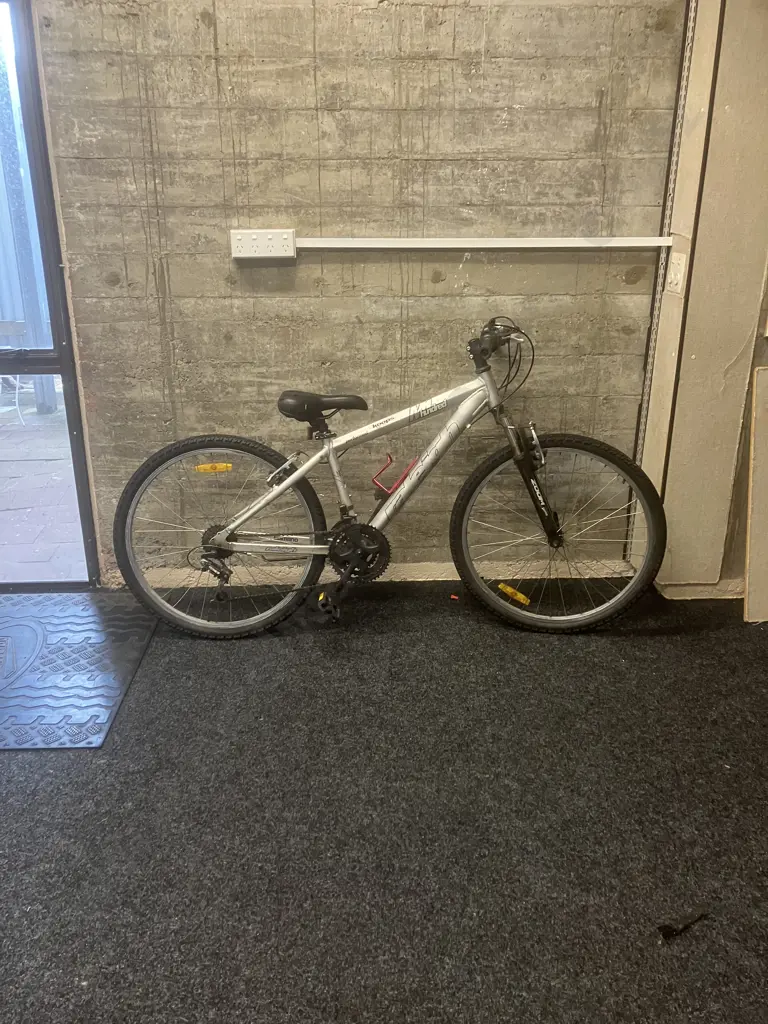 Grey Raleigh NM Hundred Performer Bike Image 1++