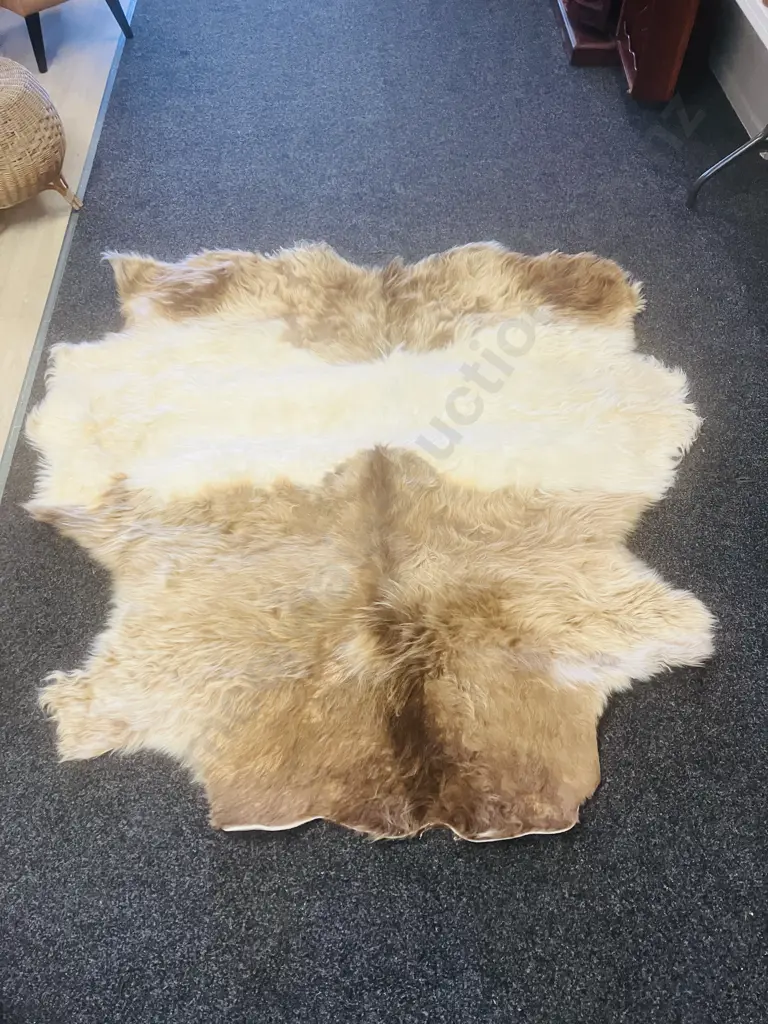 Unused Professionally Tanned 1800 x 1800 Dun Belted Galloway Hide Image 1++