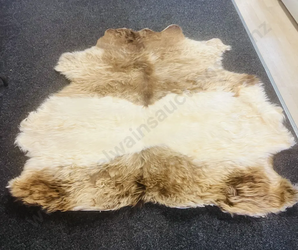 Unused Professionally Tanned 1800 x 1800 Dun Belted Galloway Hide Image 1++